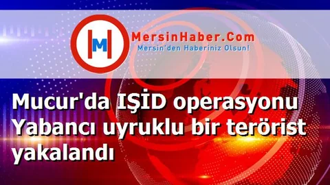 Mucur'da IŞİD operasyonu Yabancı uyruklu bir terörist yakalandı