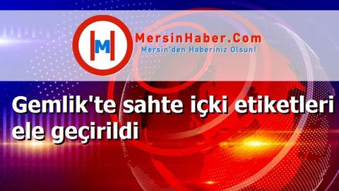 Gemlik'te sahte içki etiketleri ele geçirildi