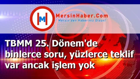 TBMM 25. Dönem'de binlerce soru, yüzlerce teklif var ancak işlem yok