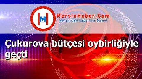 Çukurova bütçesi oybirliğiyle geçti