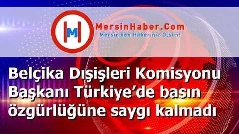 Belçika Dışişleri Komisyonu Başkanı Türkiye’de basın özgürlüğüne saygı kalmadı