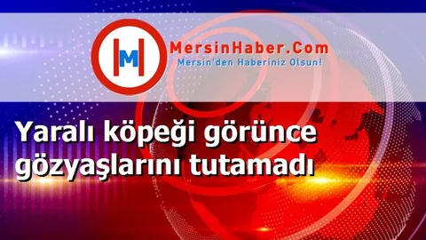 Yaralı köpeği görünce gözyaşlarını tutamadı