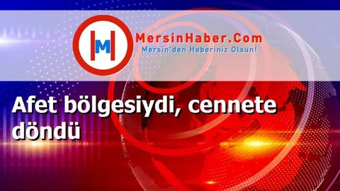 Afet bölgesiydi, cennete döndü