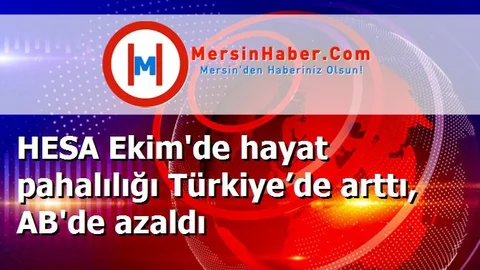 HESA Ekim'de hayat pahalılığı Türkiye’de arttı, AB'de azaldı