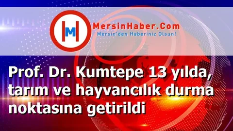 Prof. Dr. Kumtepe 13 yılda, tarım ve hayvancılık durma noktasına getirildi