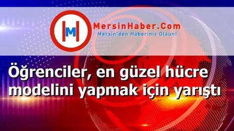Öğrenciler, en güzel hücre modelini yapmak için yarıştı
