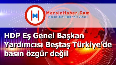 HDP Eş Genel Başkan Yardımcısı Beştaş Türkiye’de basın özgür değil