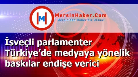 İsveçli parlamenter Türkiye’de medyaya yönelik baskılar endişe verici