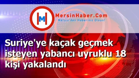 Suriye'ye kaçak geçmek isteyen yabancı uyruklu 18 kişi yakalandı