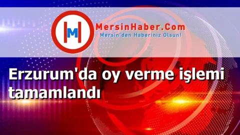 Erzurum'da oy verme işlemi tamamlandı