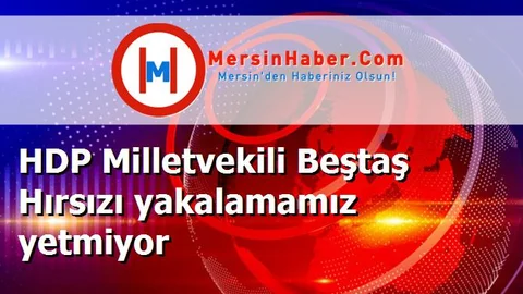 HDP Milletvekili Beştaş Hırsızı yakalamamız yetmiyor