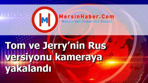 Tom ve Jerry’nin Rus versiyonu kameraya yakalandı