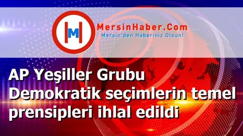 AP Yeşiller Grubu Demokratik seçimlerin temel prensipleri ihlal edildi