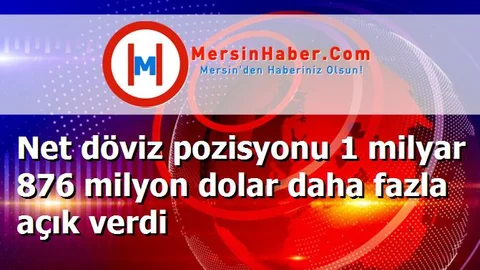 Net döviz pozisyonu 1 milyar 876 milyon dolar daha fazla açık verdi