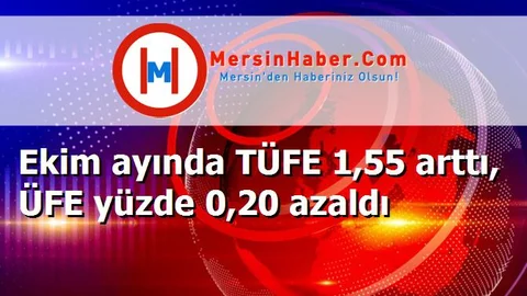 Ekim ayında TÜFE 1,55 arttı, ÜFE yüzde 0,20 azaldı