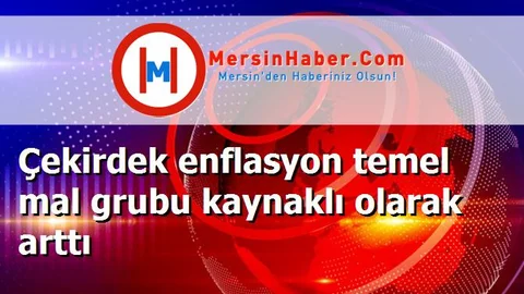 Çekirdek enflasyon temel mal grubu kaynaklı olarak arttı