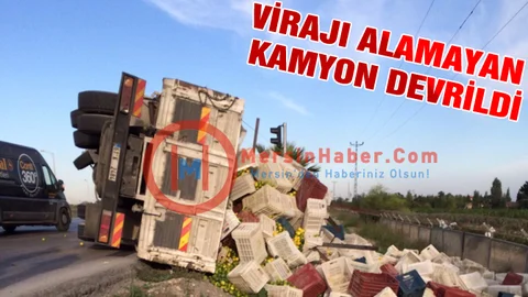 Virajı Alamayan Narenciye Yüklü Kamyon Devrildi