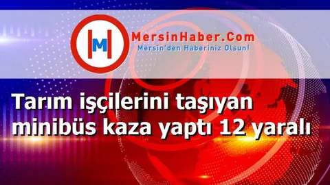 Tarım işçilerini taşıyan minibüs kaza yaptı 12 yaralı