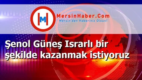 Şenol Güneş Israrlı bir şekilde kazanmak istiyoruz