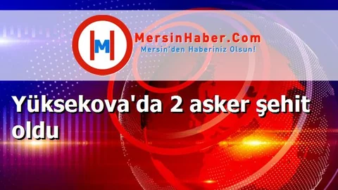 Yüksekova'da 2 asker şehit oldu