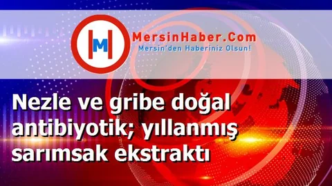 Nezle ve gribe doğal antibiyotik; yıllanmış sarımsak ekstraktı
