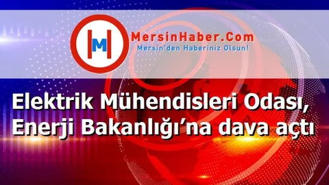 Elektrik Mühendisleri Odası, Enerji Bakanlığı’na dava açtı