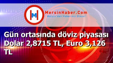 Gün ortasında döviz piyasası Dolar 2,8715 TL, Euro 3,126 TL