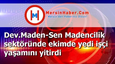 Dev.Maden-Sen Madencilik sektöründe ekimde yedi işçi yaşamını yitirdi