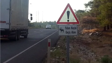 Karayollarına yaban hayvanı ikaz tabelaları yerleştirildi