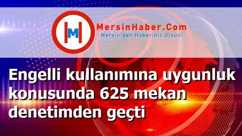 Engelli kullanımına uygunluk konusunda 625 mekan denetimden geçti