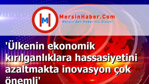 'Ülkenin ekonomik kırılganlıklara hassasiyetini azaltmakta inovasyon çok önemli'