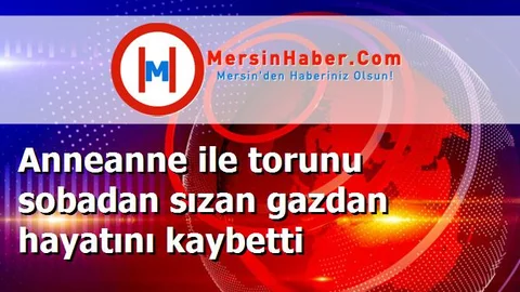 Anneanne ile torunu sobadan sızan gazdan hayatını kaybetti