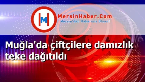 Muğla'da çiftçilere damızlık teke dağıtıldı
