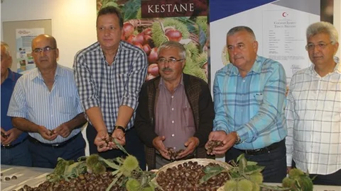Aydın’dan kestane ihracatı başladı