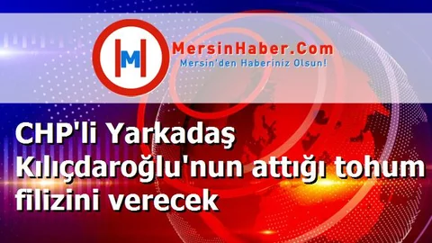 CHP'li Yarkadaş Kılıçdaroğlu'nun attığı tohum filizini verecek