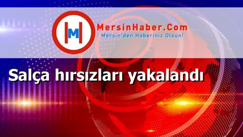 Salça hırsızları yakalandı