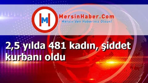 2,5 yılda 481 kadın, şiddet kurbanı oldu