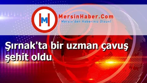 Şırnak'ta bir uzman çavuş şehit oldu