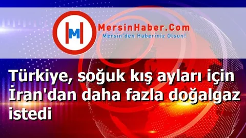 Türkiye, soğuk kış ayları için İran'dan daha fazla doğalgaz istedi