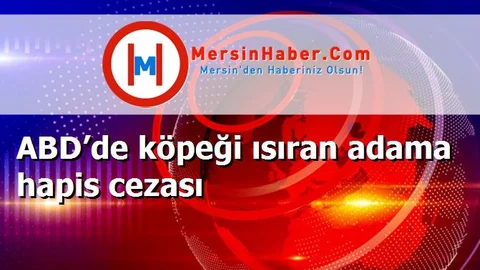 ABD’de köpeği ısıran adama hapis cezası
