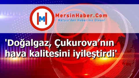 'Doğalgaz, Çukurova’nın hava kalitesini iyileştirdi'