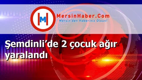 Şemdinli’de 2 çocuk ağır yaralandı
