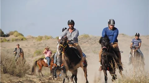 3. Side Rahvan At Yarışları Türkiye birincisi Konya'dan Küçükmeral oldu
