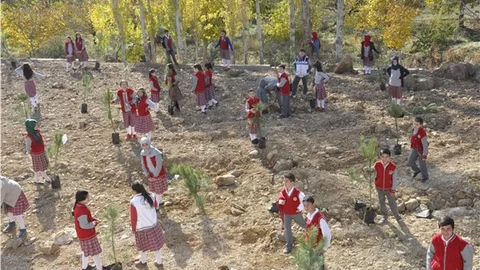 İmam hatip öğrencileri, okul bahçesine fidan dikti