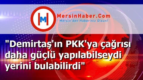 "Demirtaş'ın PKK'ya çağrısı daha güçlü yapılabilseydi yerini bulabilirdi"