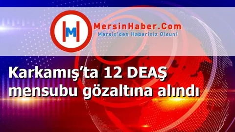 Karkamış’ta 12 DEAŞ mensubu gözaltına alındı