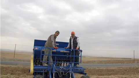 Türkiye’de kırmızı mercimek üretimi 10 yılda 85 bin ton azaldı