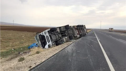 Nusaybin'de yumurta yüklü TIR devrildi 1 yaralı
