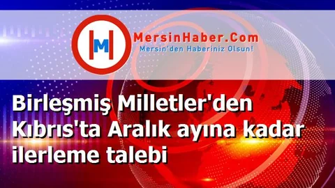 Birleşmiş Milletler'den Kıbrıs'ta Aralık ayına kadar ilerleme talebi