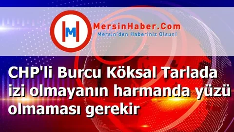 CHP'li Burcu Köksal Tarlada izi olmayanın harmanda yüzü olmaması gerekir